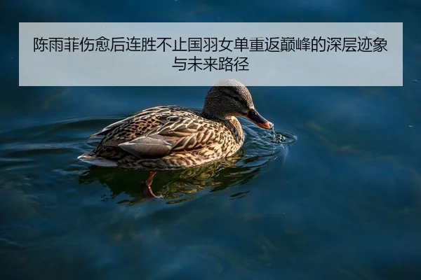 陈雨菲伤愈后连胜不止国羽女单重返巅峰的深层迹象与未来路径
