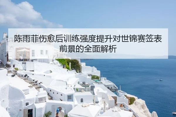 陈雨菲伤愈后训练强度提升对世锦赛签表前景的全面解析