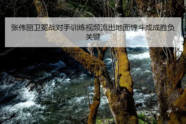 张伟丽卫冕战对手训练视频流出地面缠斗或成胜负关键